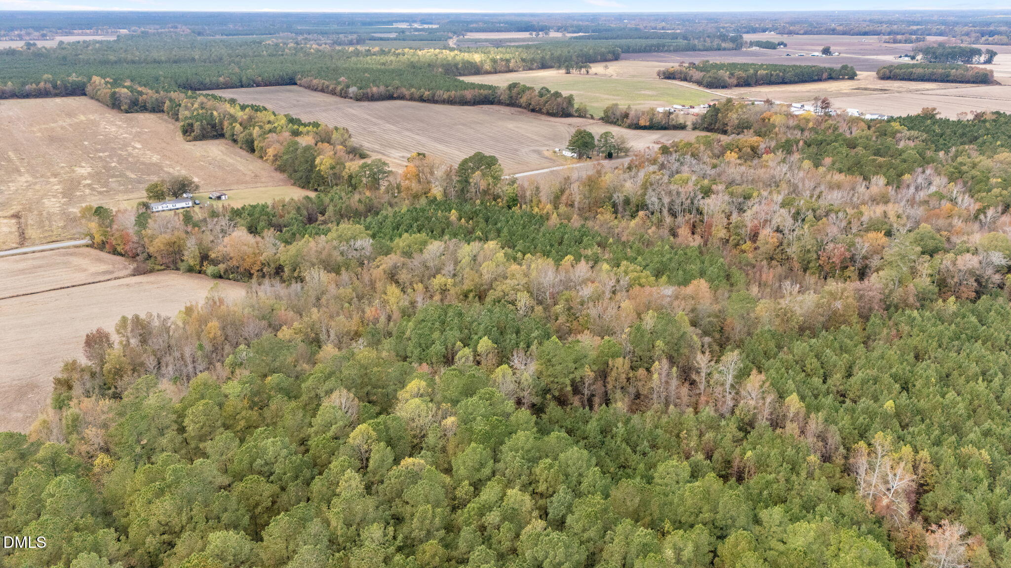 0 Sheppard Mill Road Stokes, NC 27884 - Photo 2 of 7 1-web-or-mls-DJI_20251103150957_0568_D