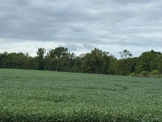 $847,220 | 5160 Quackenbush Road, Reading, MI 49274