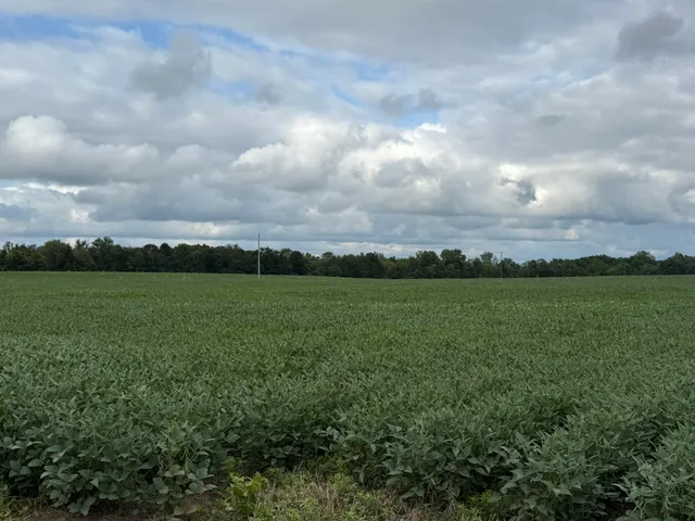 $847,220 | 5160 Quackenbush Road, Reading, MI 49274