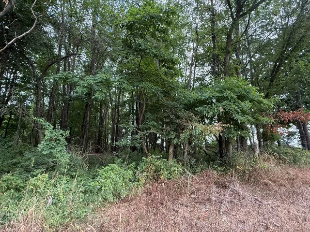 $847,220 | 5160 Quackenbush Road, Reading, MI 49274