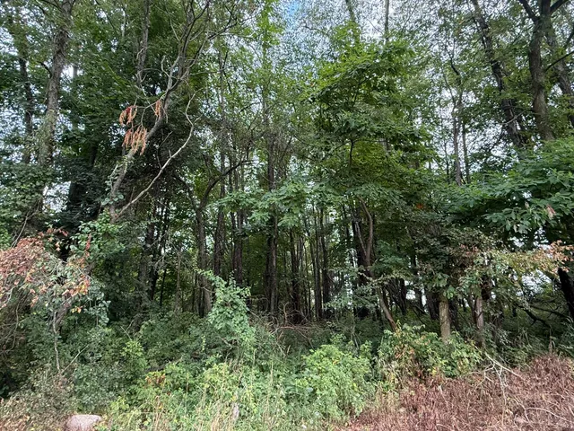 $847,220 | 5160 Quackenbush Road, Reading, MI 49274