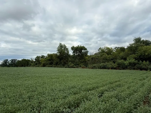 $847,220 | 5160 Quackenbush Road, Reading, MI 49274