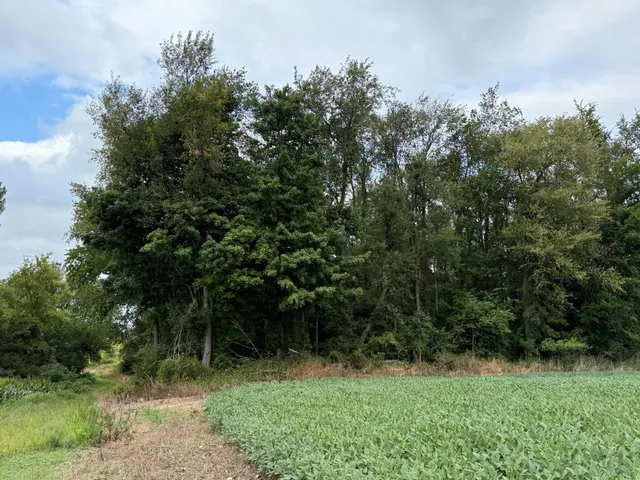 $847,220 | 5160 Quackenbush Road, Reading, MI 49274