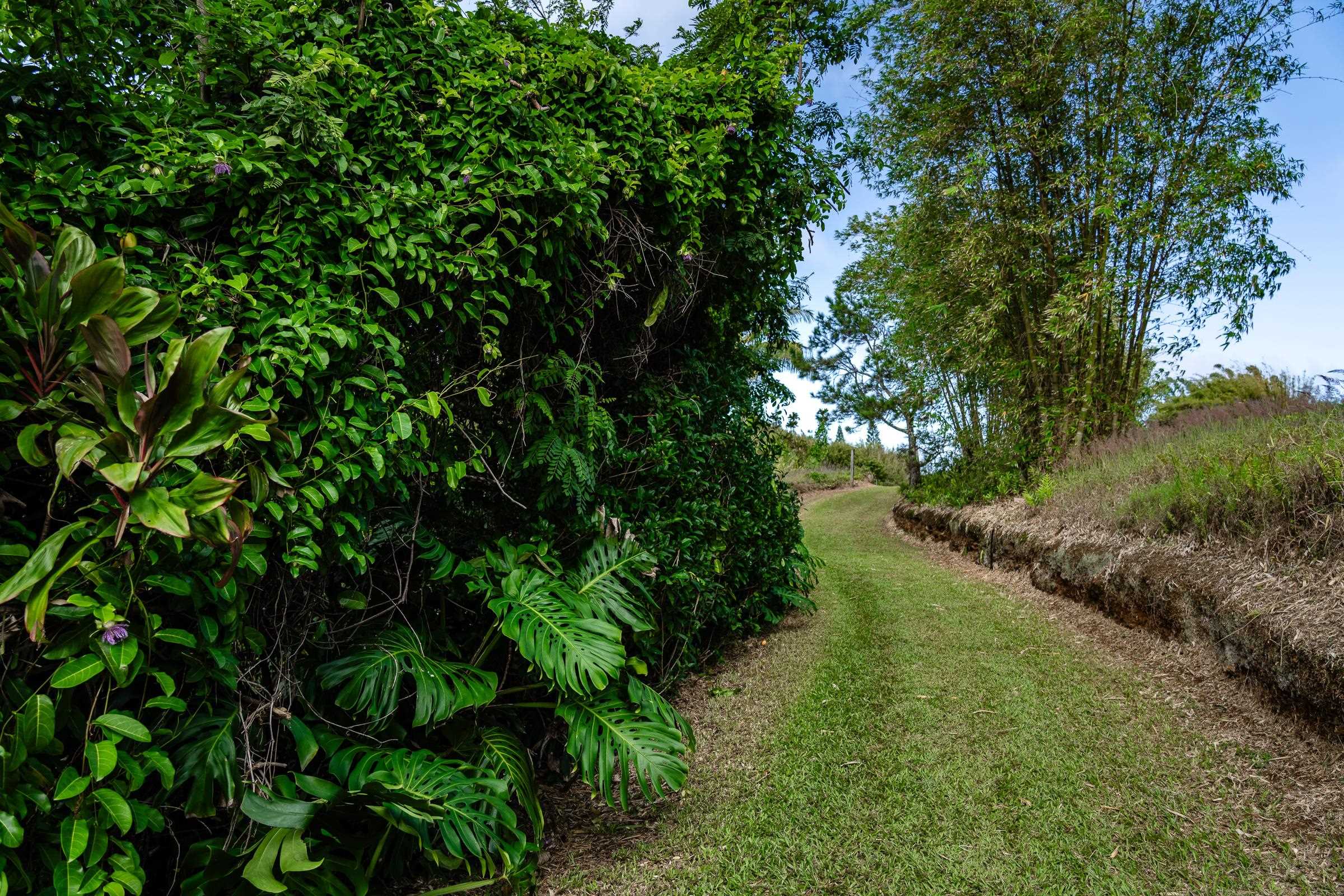 33 Hoolawa Road Haiku, HI 96708 - Photo 44 of 50 Gallery Image 44