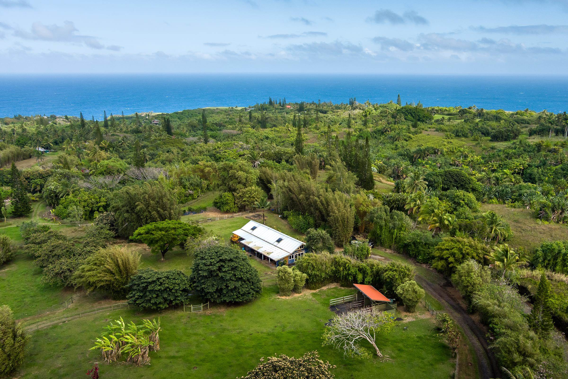 33 Hoolawa Road Haiku, HI 96708 - Photo 8 of 50 Gallery Image 8