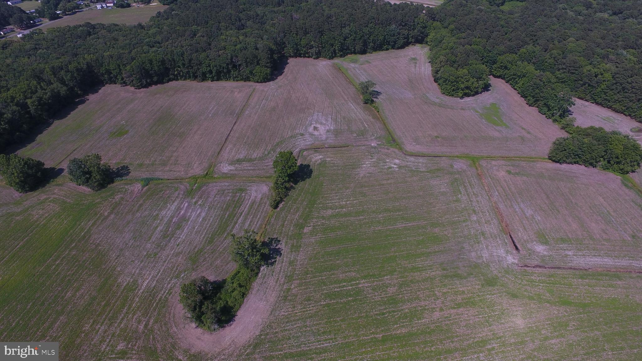 Lot#1 Dinges Road Berlin, MD 21811 - Photo 17 of 32 Gallery Image 17