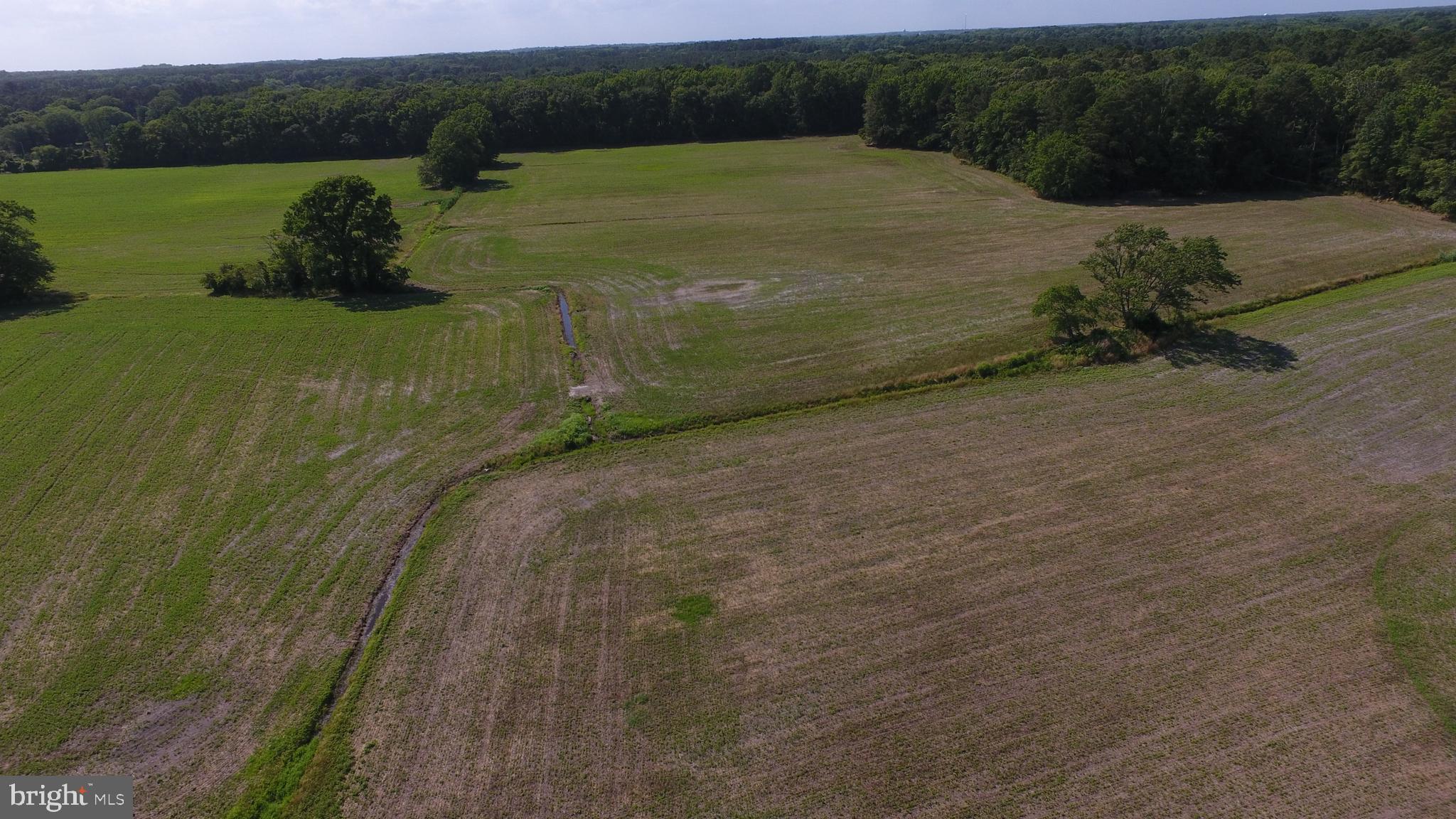 Lot#1 Dinges Road Berlin, MD 21811 - Photo 20 of 32 Gallery Image 20