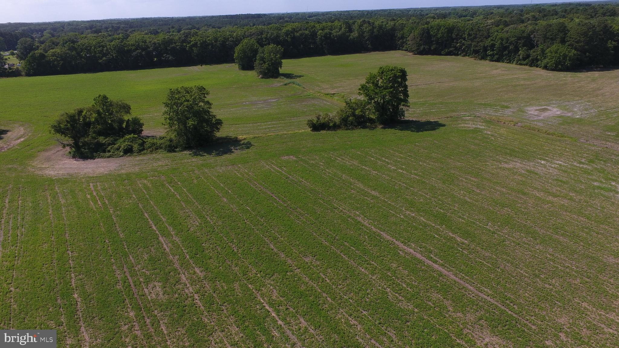 Lot#1 Dinges Road Berlin, MD 21811 - Photo 21 of 32 Gallery Image 21