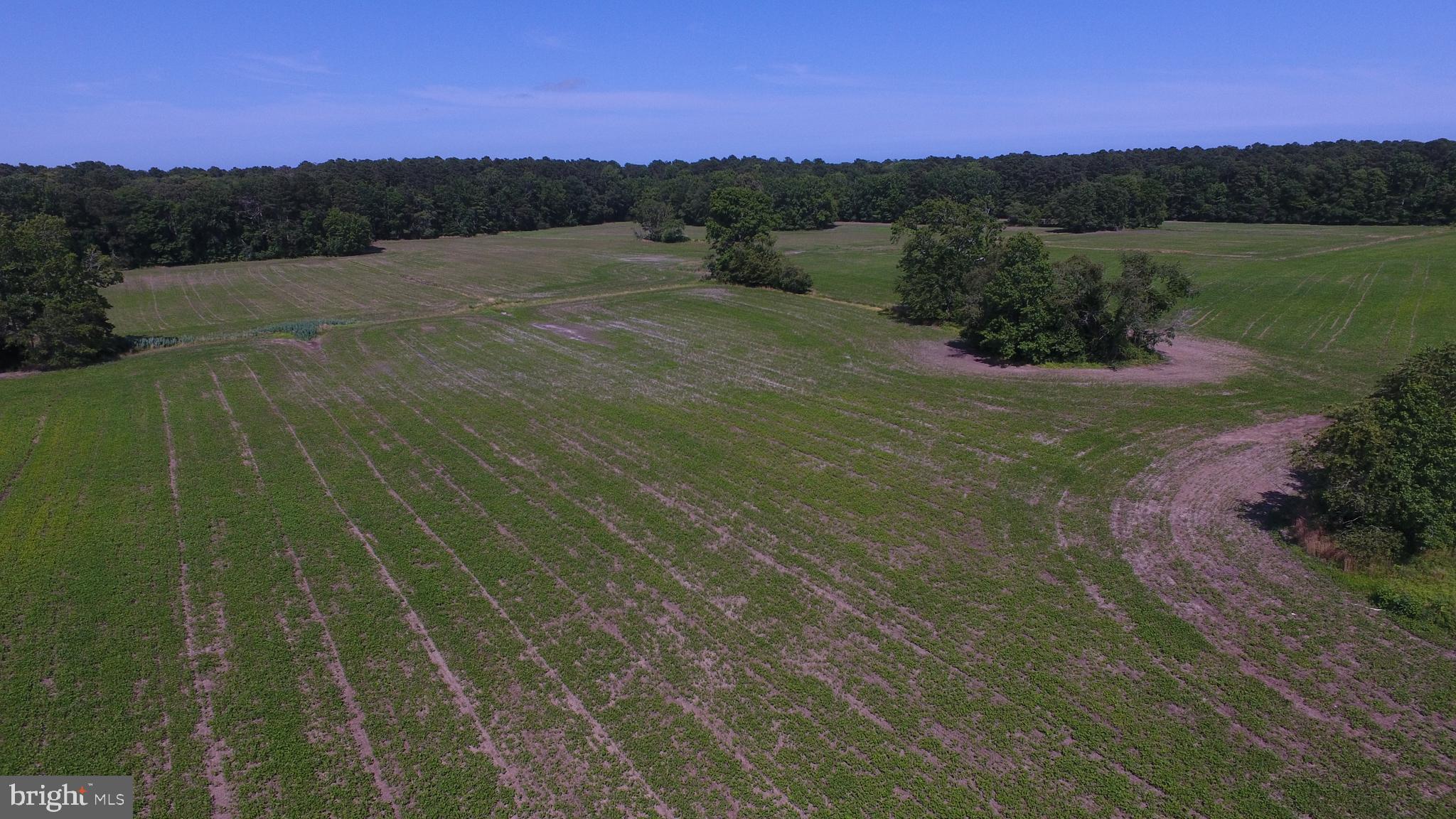Lot#1 Dinges Road Berlin, MD 21811 - Photo 23 of 32 Gallery Image 23