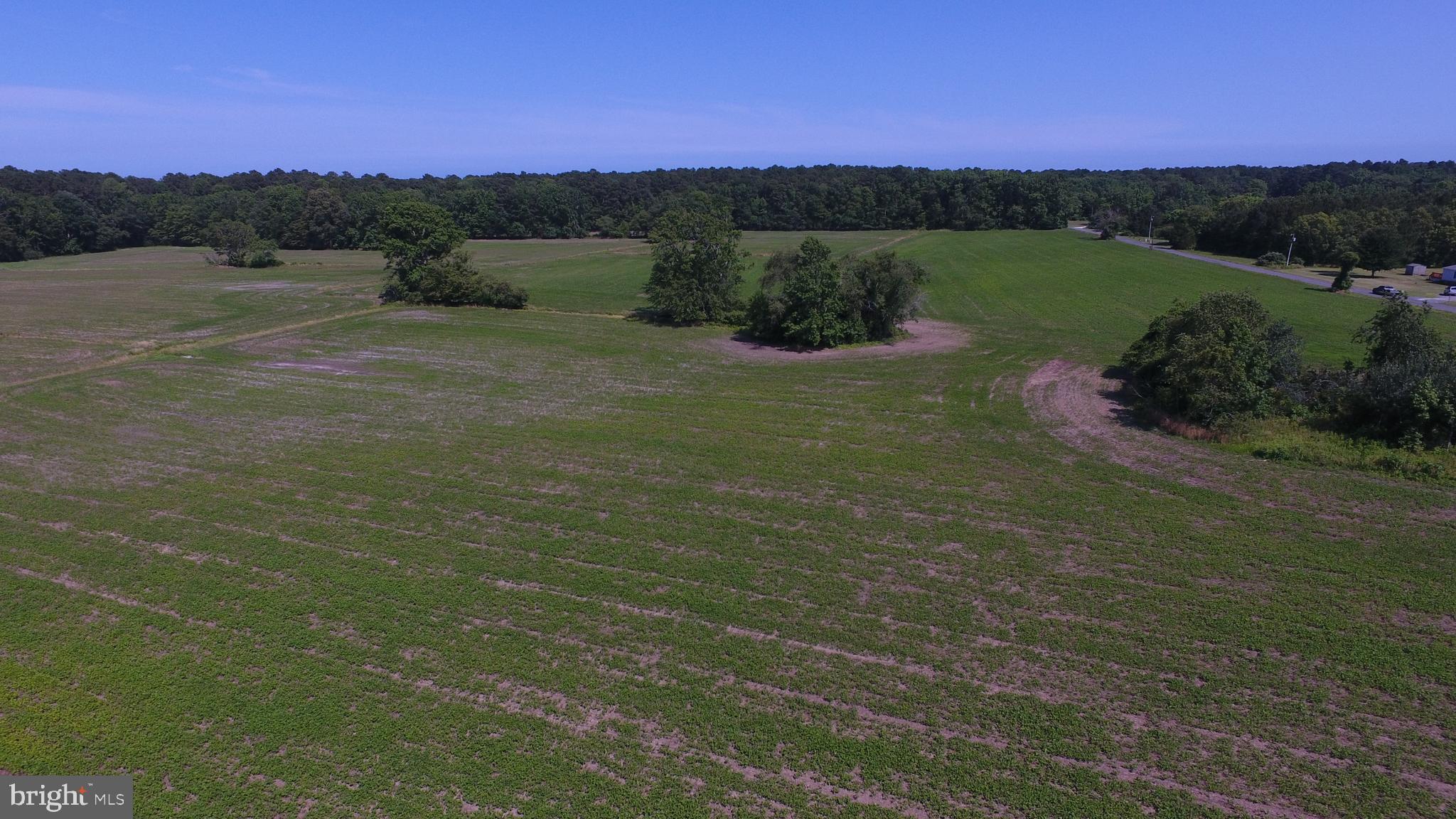 Lot#1 Dinges Road Berlin, MD 21811 - Photo 24 of 32 Gallery Image 24