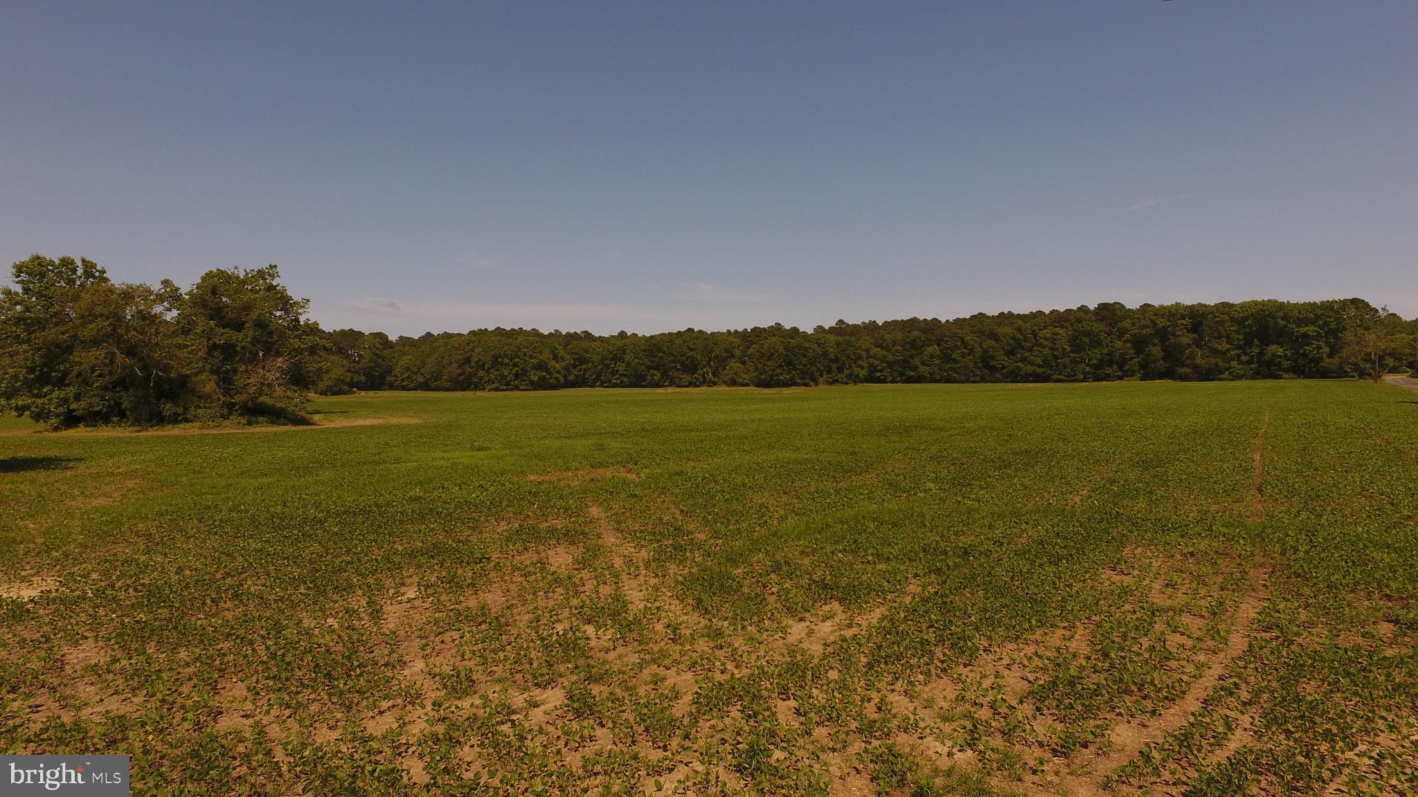 Lot#1 Dinges Road Berlin, MD 21811 - Photo 30 of 32 Gallery Image 30