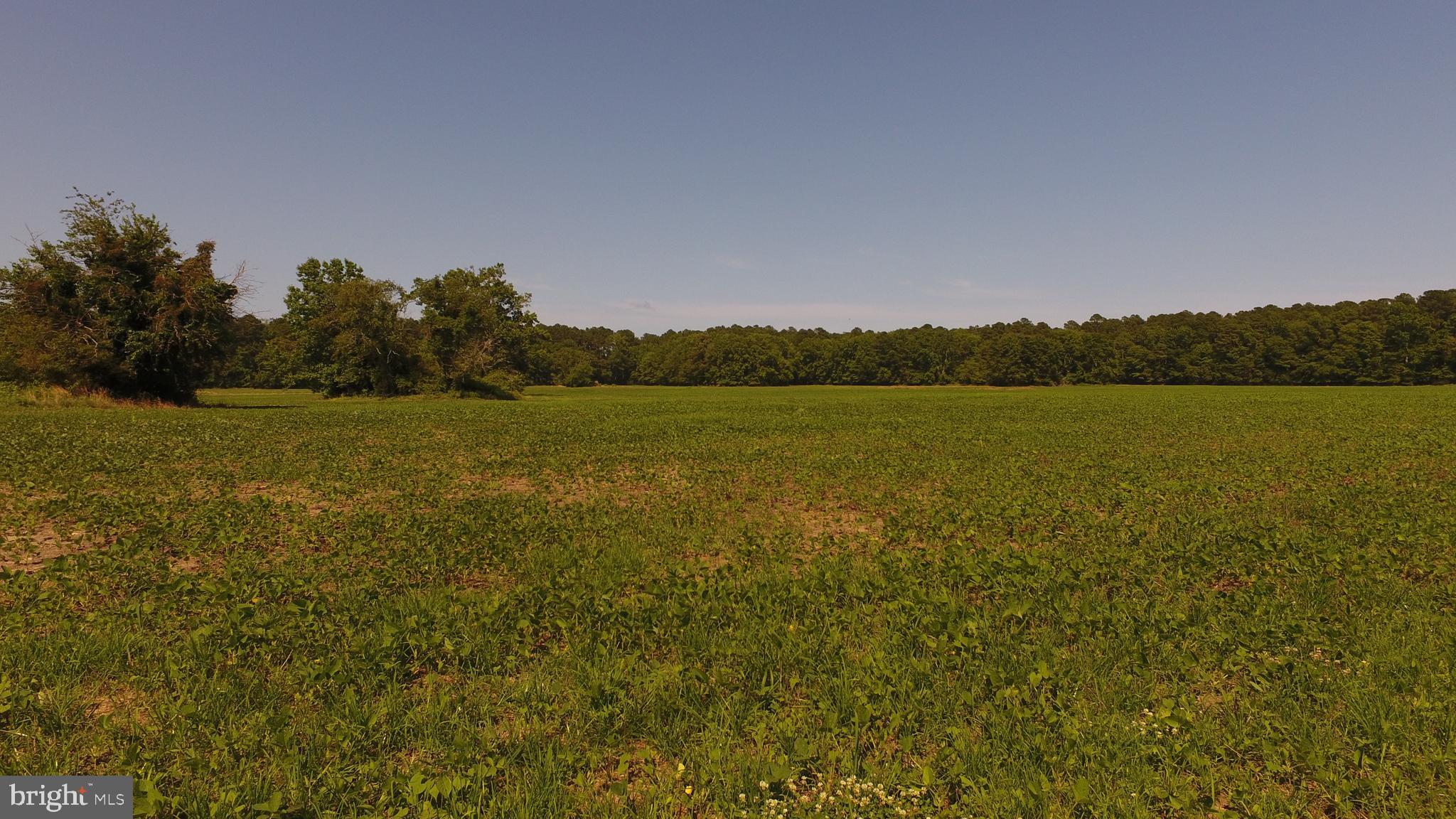 Lot#1 Dinges Road Berlin, MD 21811 - Photo 31 of 32 Gallery Image 31