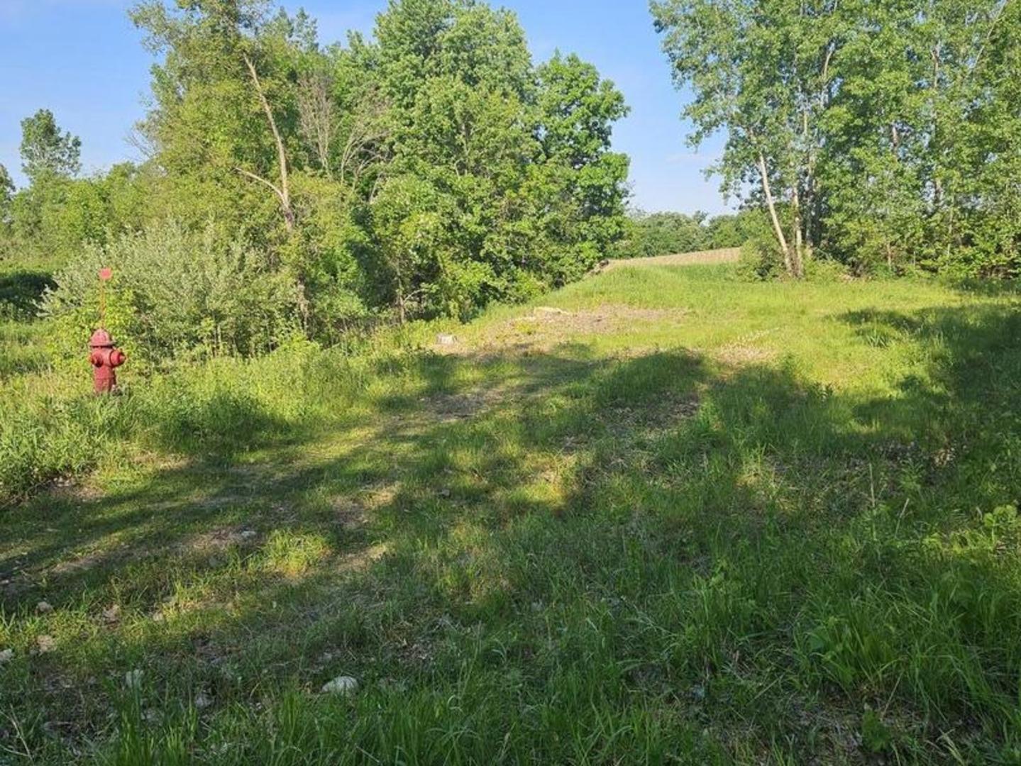 Lot 1 Richmond Road North McHenry, IL 60050 - Photo 4 of 6