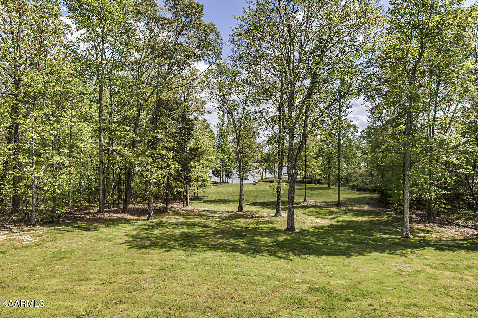 957 Stump Hollow Road Spring City, TN 37381 - Photo 13 of 60 13_StumpHollowRoad_957_DeckView