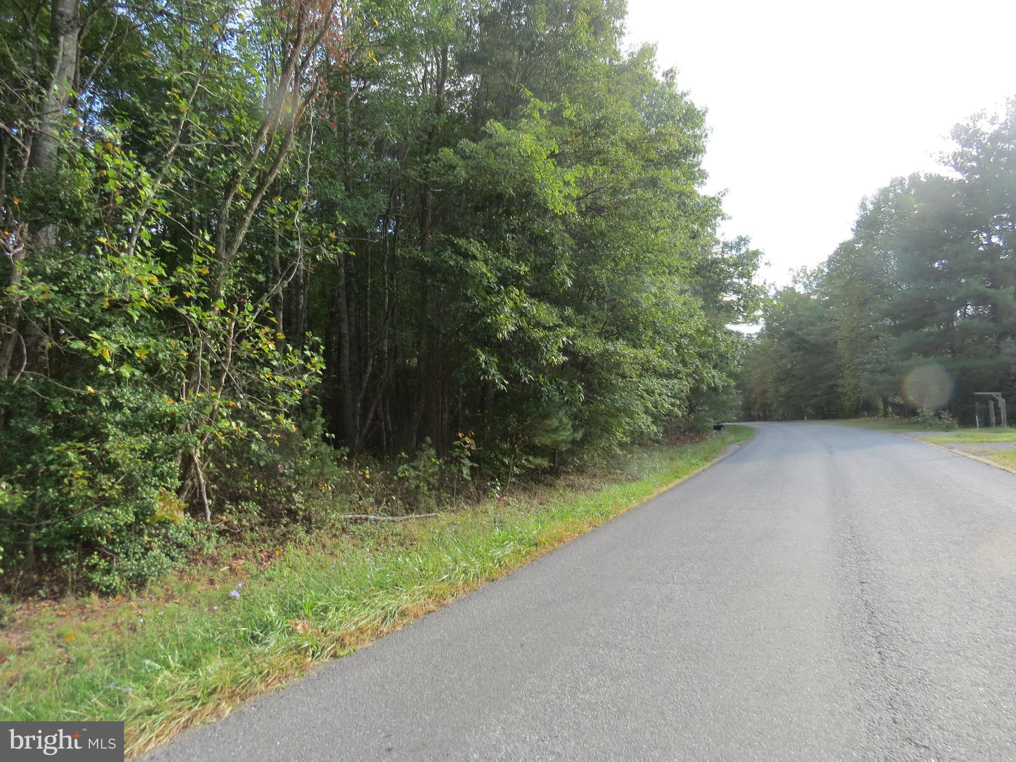 0 Grasty Gold Mine Road Rhoadesville, VA 22542 - Photo 1 of 2 Gallery Image 1