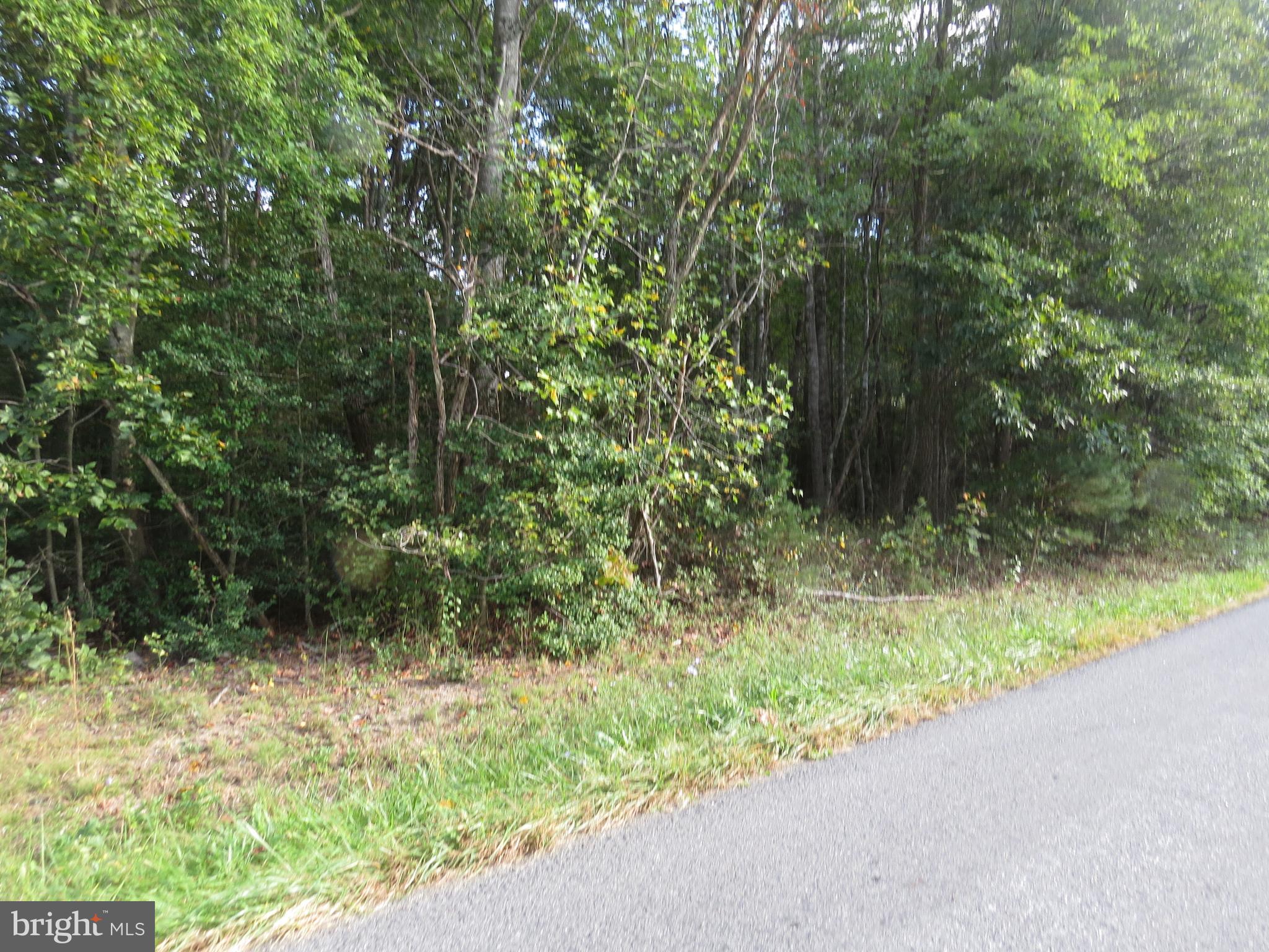 0 Grasty Gold Mine Road Rhoadesville, VA 22542 - Photo 2 of 2 Gallery Image 2