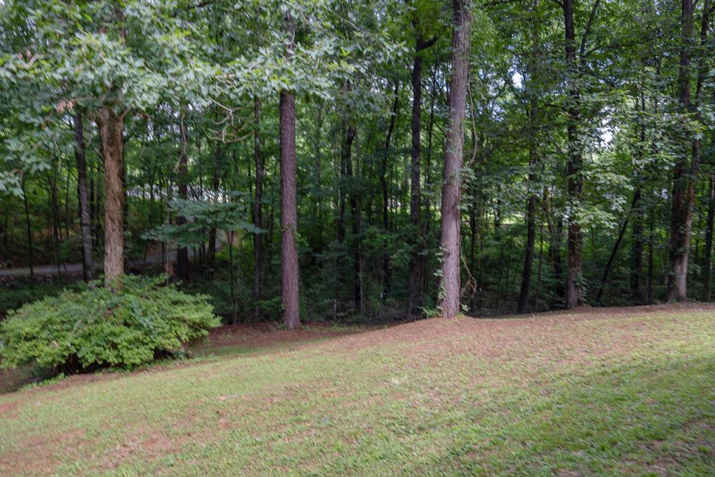114 Squirrel Way Fortson, GA 31808 - Photo 32 of 39