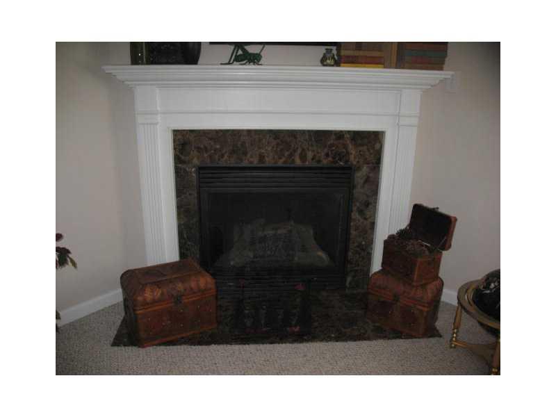 125 Manjit Road Somerset, PA 15501 - Photo 14 of 19 Other. Gas Fireplace