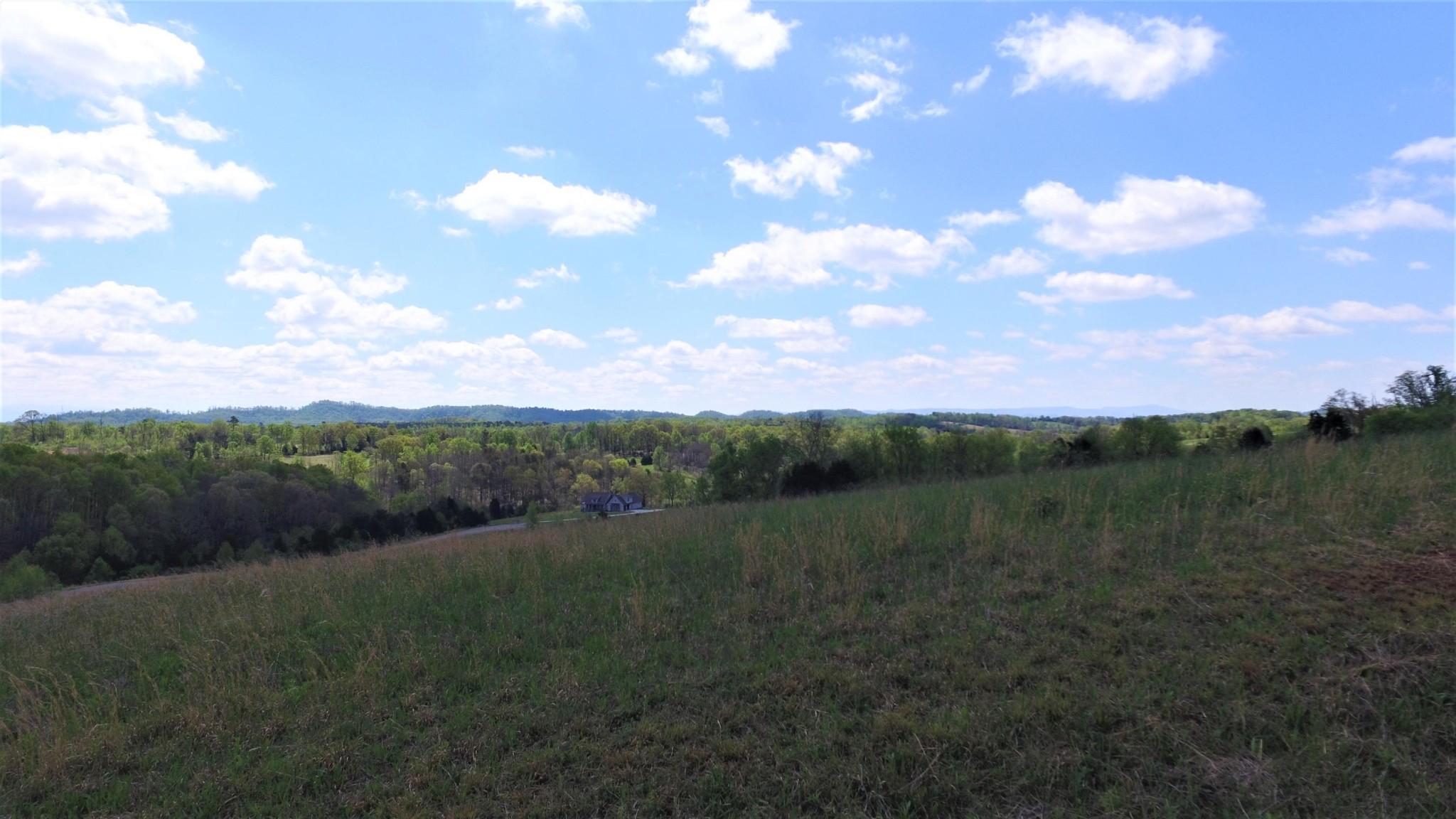0 Lot Road Sweetwater, TN 37874 - Photo 2 of 19 Gallery Image 2