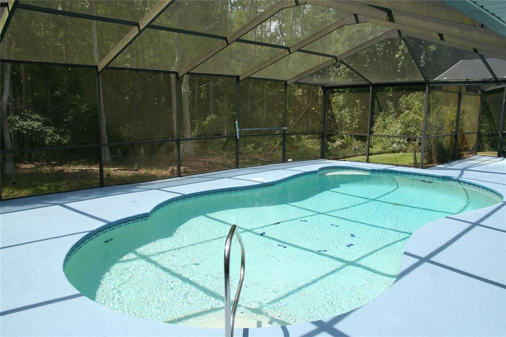 7222 Auburn Lane New Port Richey, FL 34654 - Photo 35 of 46