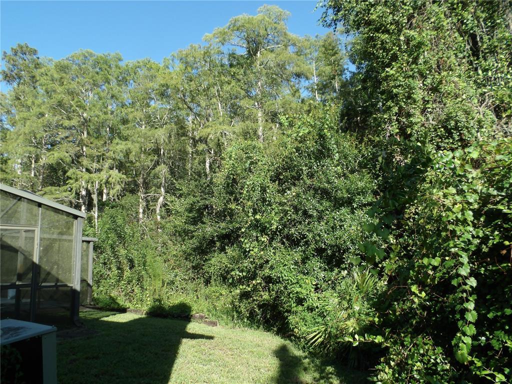 7222 Auburn Lane New Port Richey, FL 34654 - Photo 46 of 46
