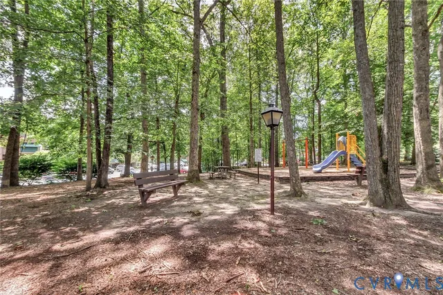 a view of a park with large trees