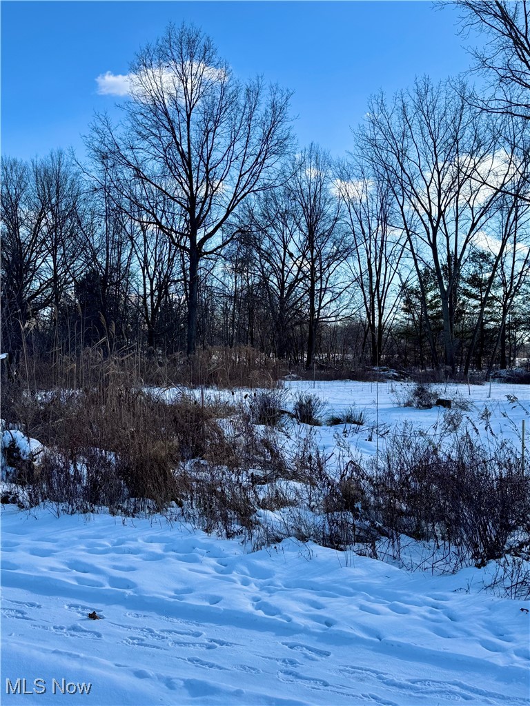 31857 Avon Road Avon, OH 44011 - Photo 4 of 6