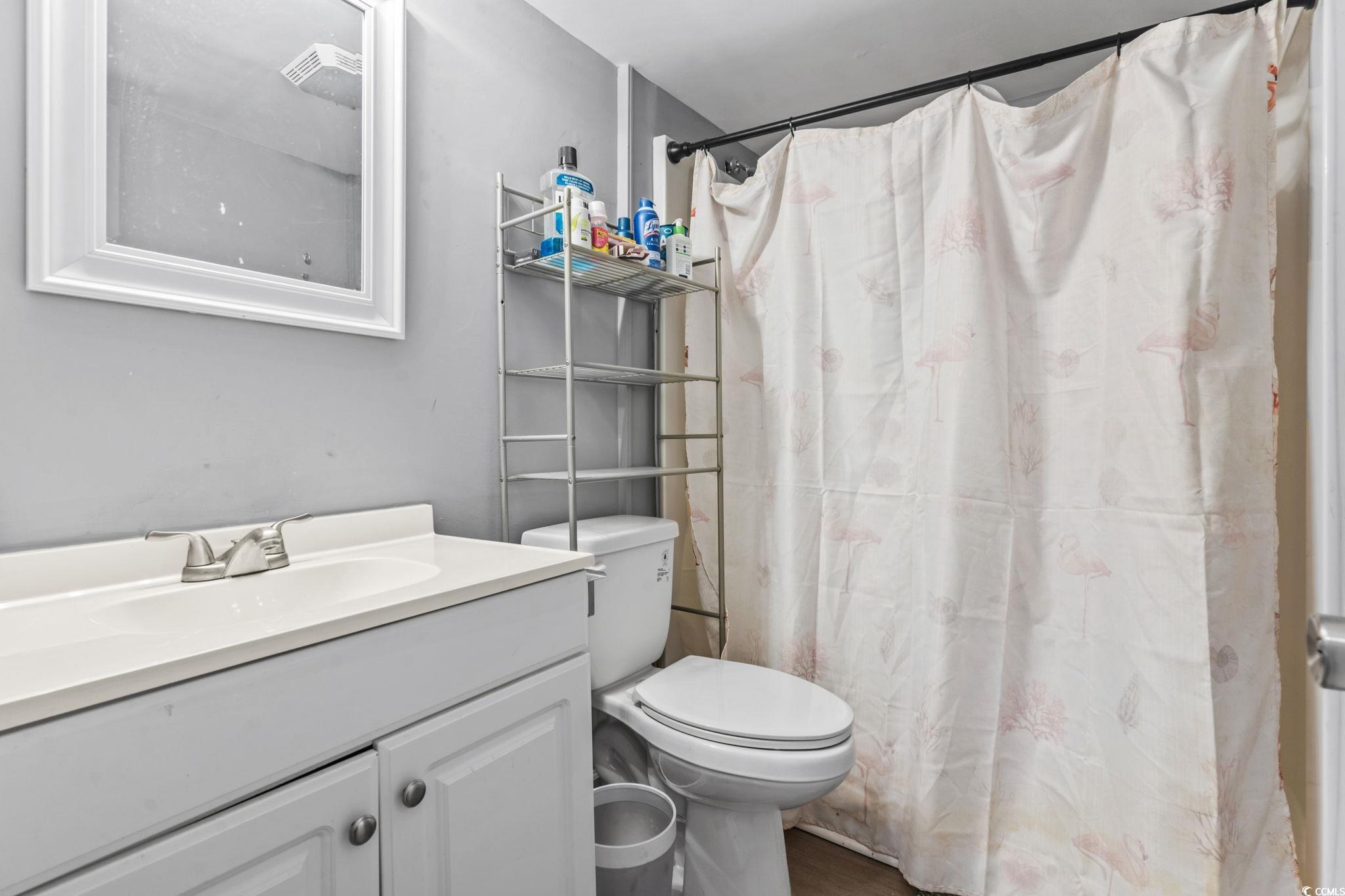 109 Clemson Road Conway, SC 29526 - Photo 8 of 25 Bathroom with vanity, toilet, and curtained shower