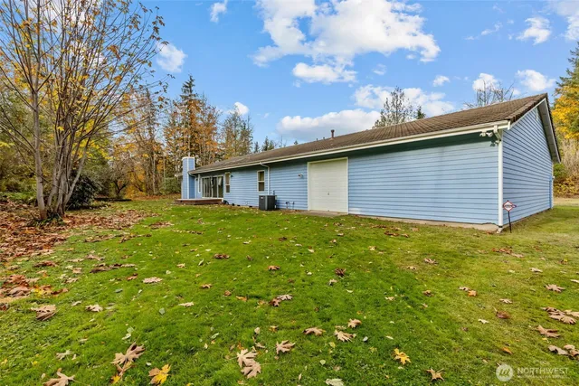 a view of a backyard with a large tree