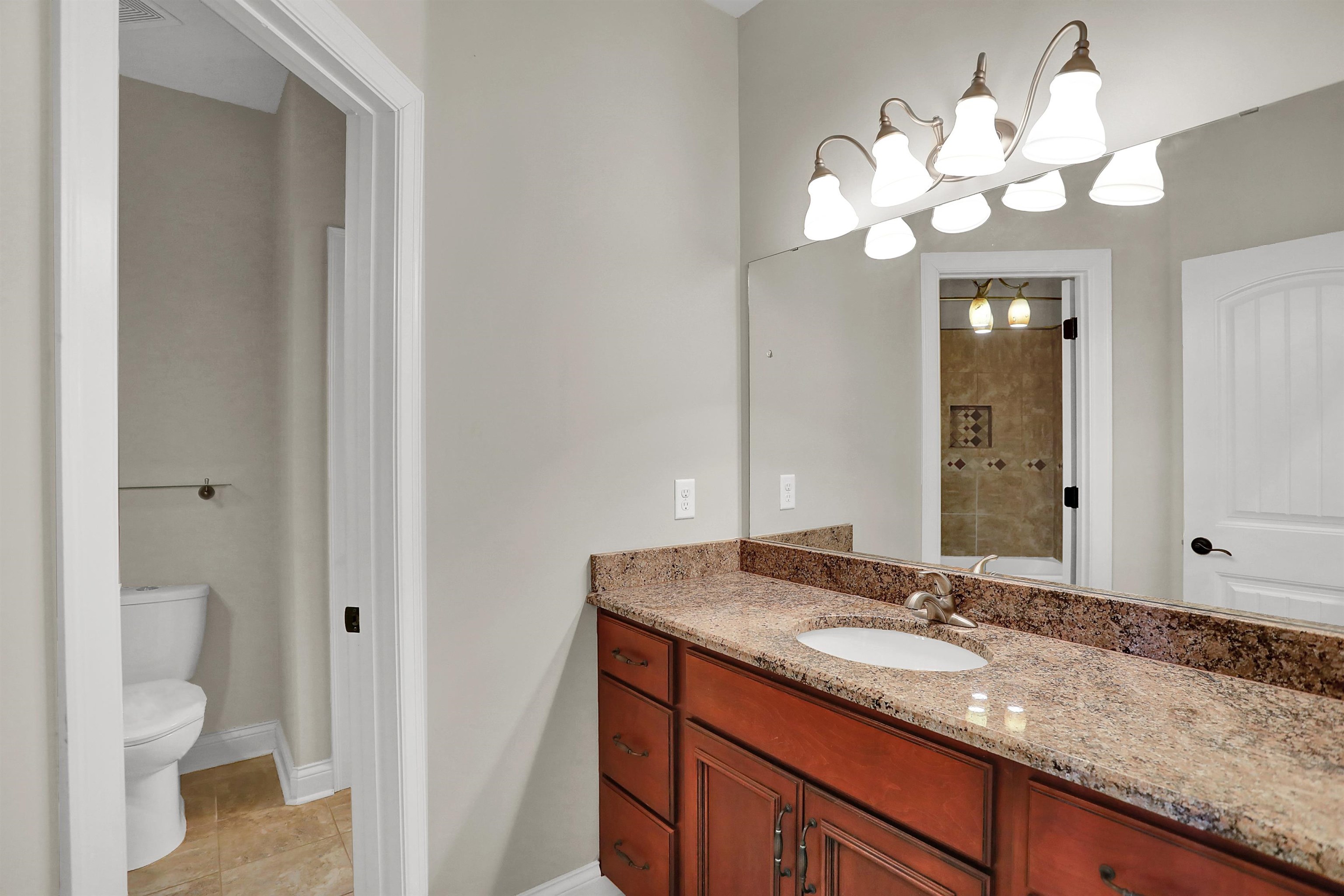 105 Parkview Drive Piperton, TN 38017 - Photo 22 of 25 a bathroom with a granite countertop sink a toilet and a mirror