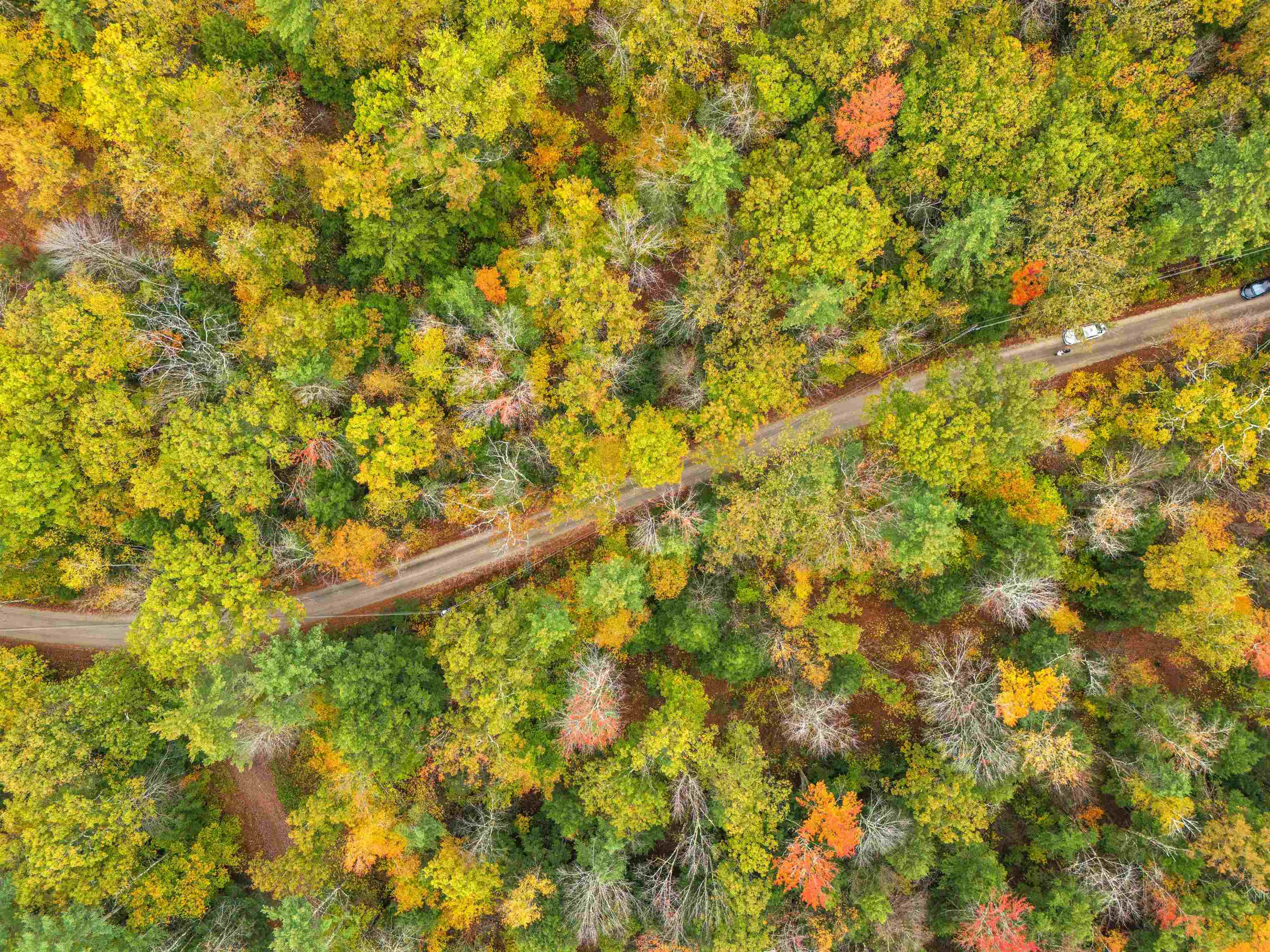 408 Map Road Richmond, NH 03470 - Photo 2 of 9