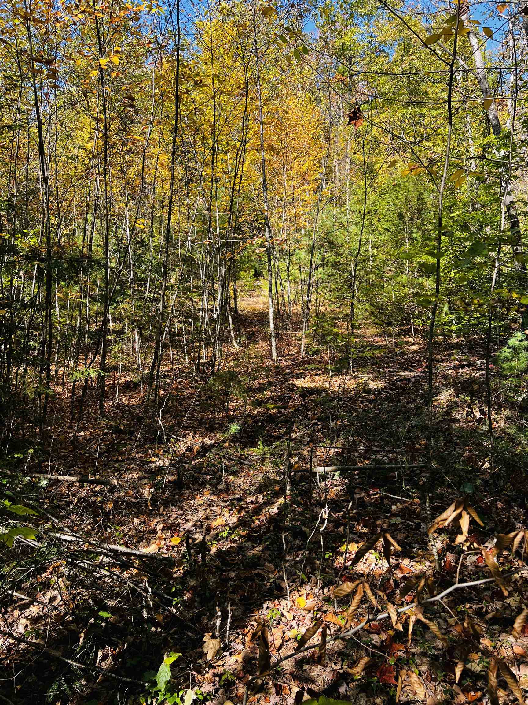 408 Map Road Richmond, NH 03470 - Photo 3 of 9