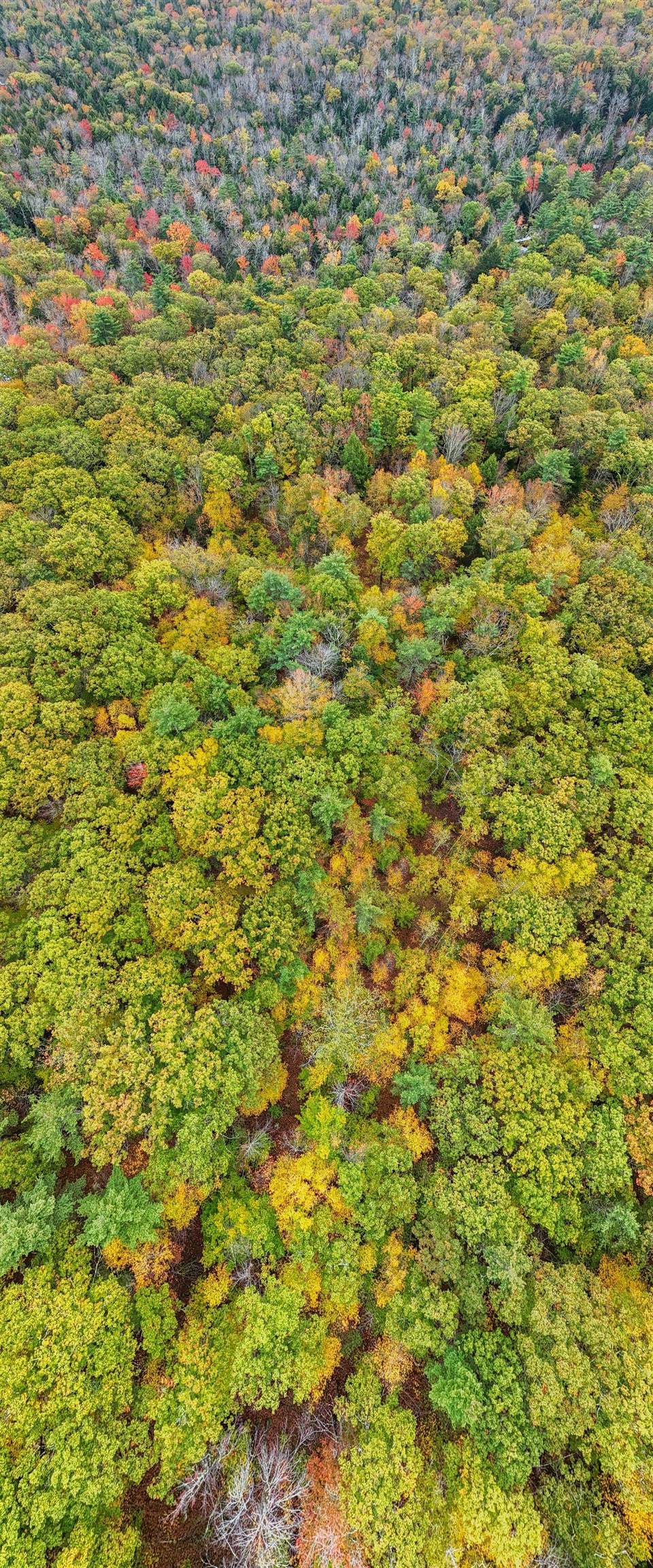 408 Map Road Richmond, NH 03470 - Photo 8 of 9