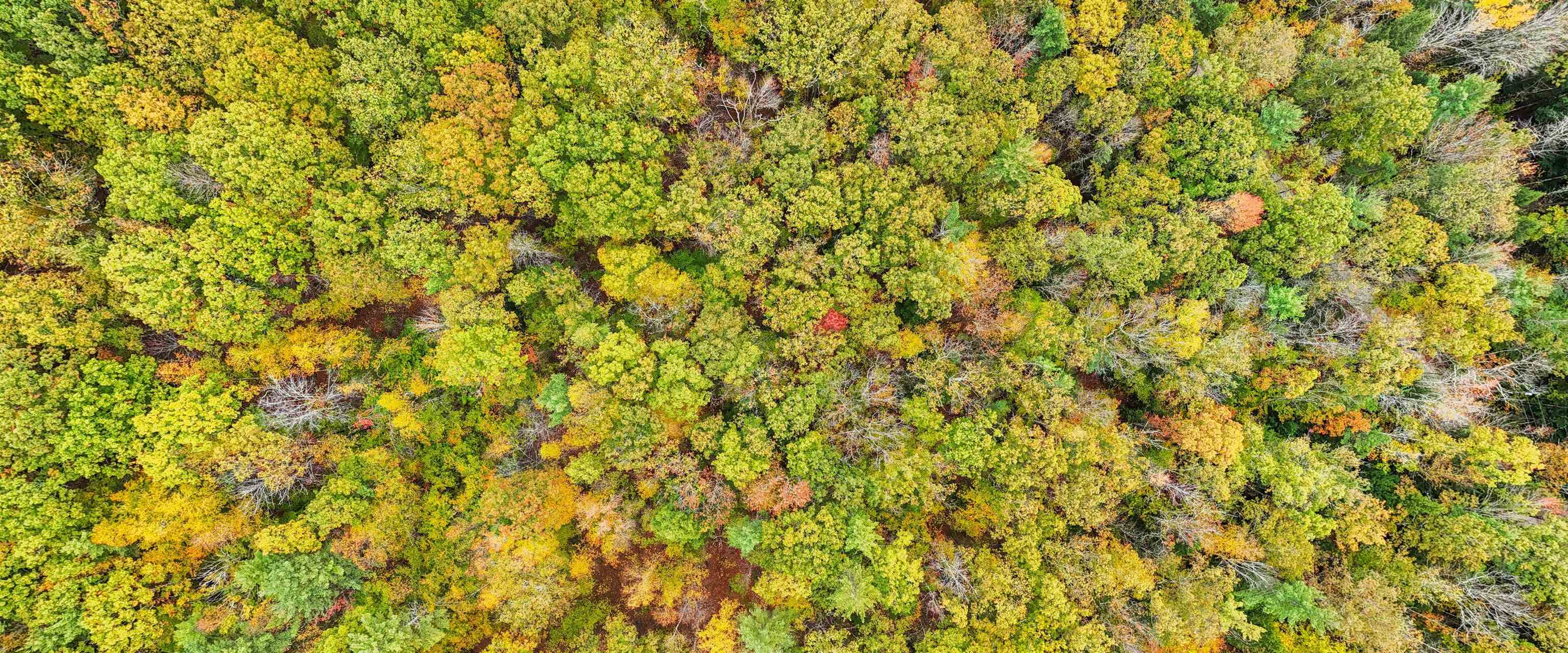 408 Map Road Richmond, NH 03470 - Photo 9 of 9