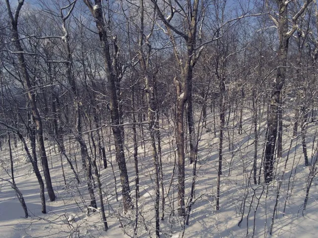 $39,900 | 0 Earl Lane, Lempster, NH 03605