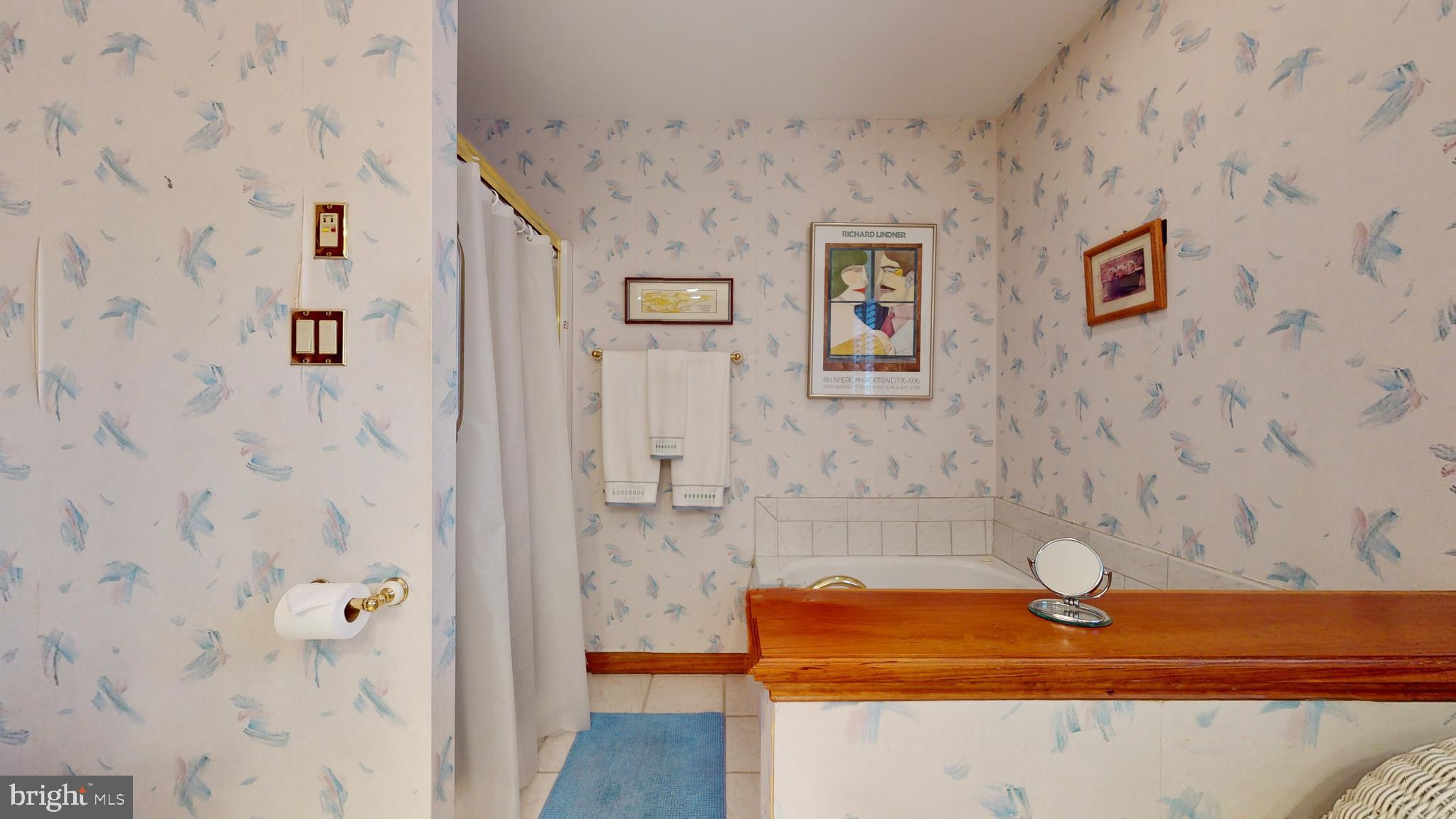 209 West Knowlton Road Aston, PA 19014 - Photo 54 of 59 Jacuzzi Tub & separate step in Shower
