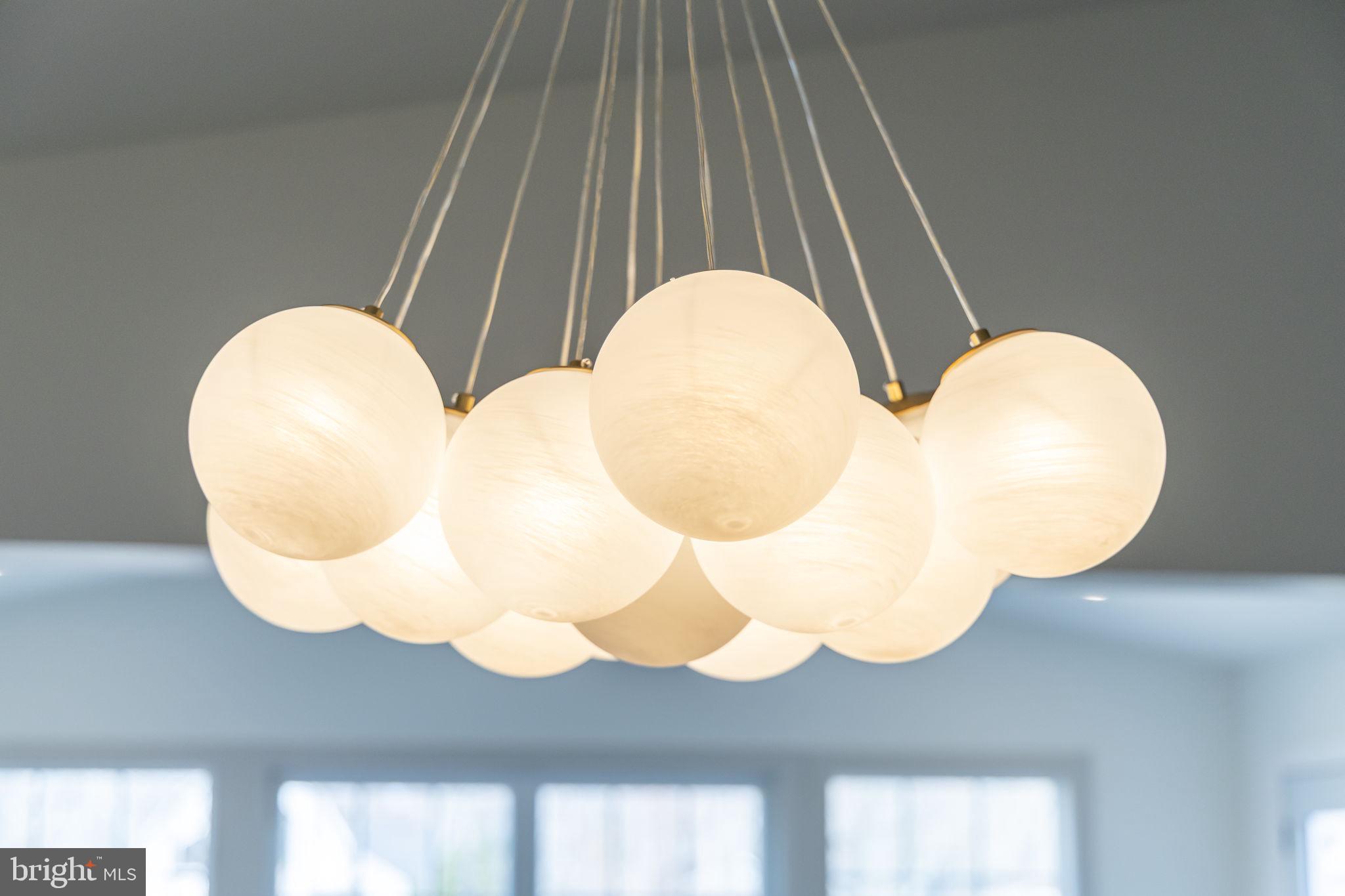 116 Washington Street Locust Grove, VA 22508 - Photo 42 of 130 Beautiful Lighting!