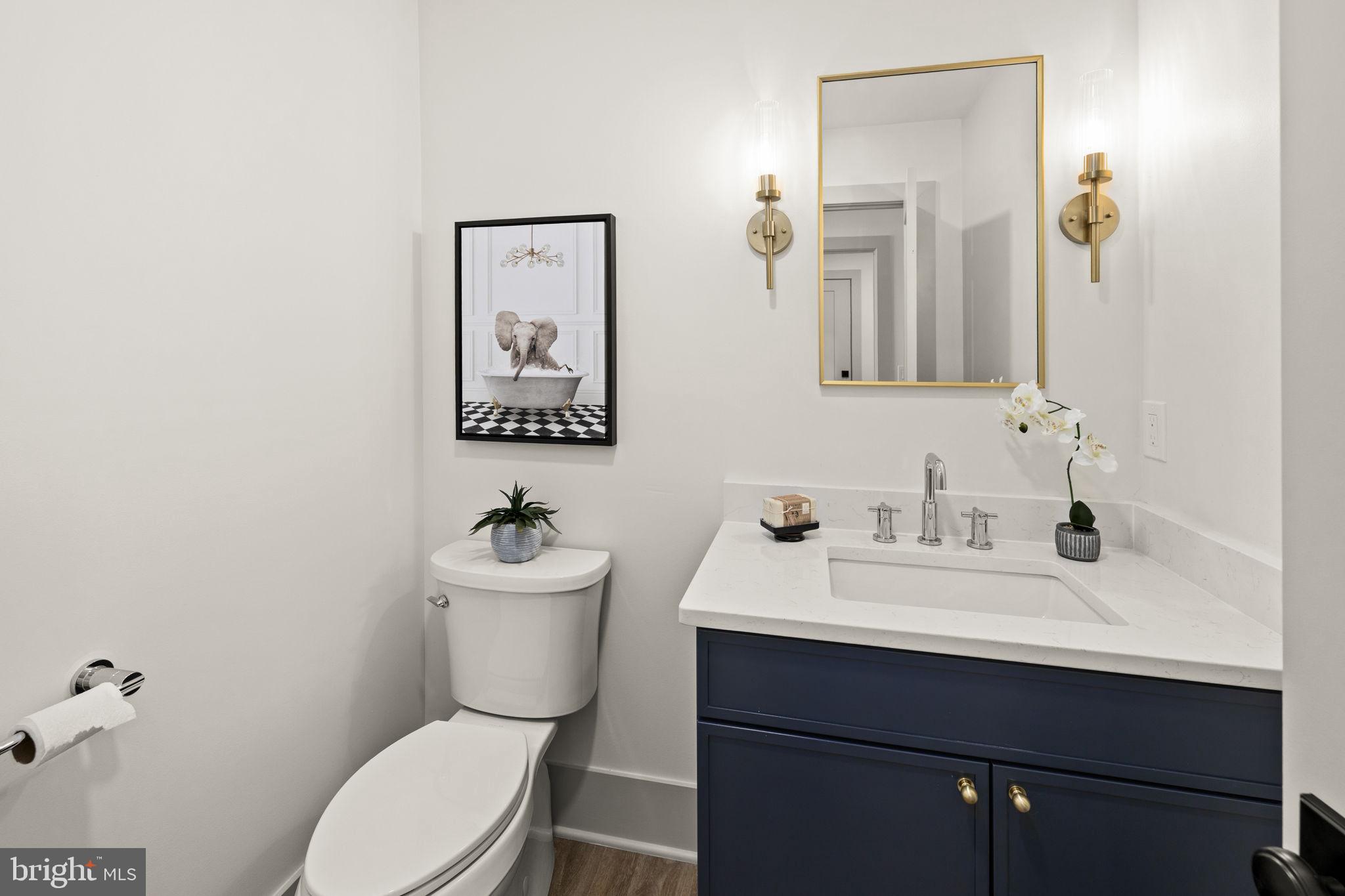 116 Washington Street Locust Grove, VA 22508 - Photo 50 of 130 a bathroom with a sink mirror and toilet