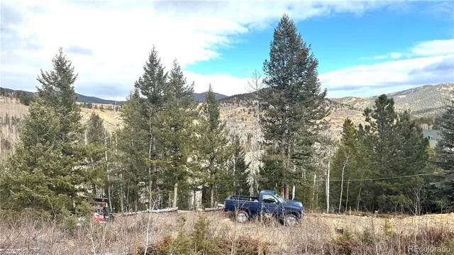 a view of backyard with trees