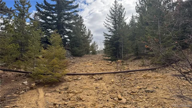 a view of a yard with trees in the background
