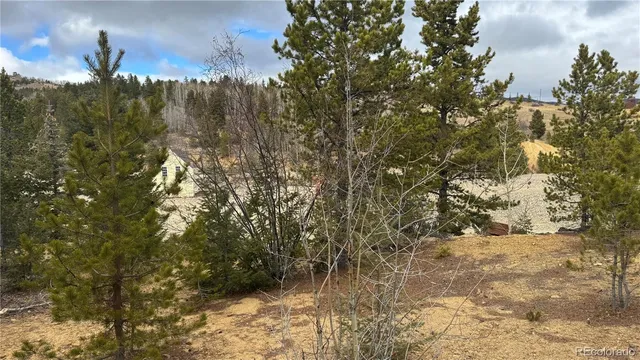 a view of a forest covered with trees