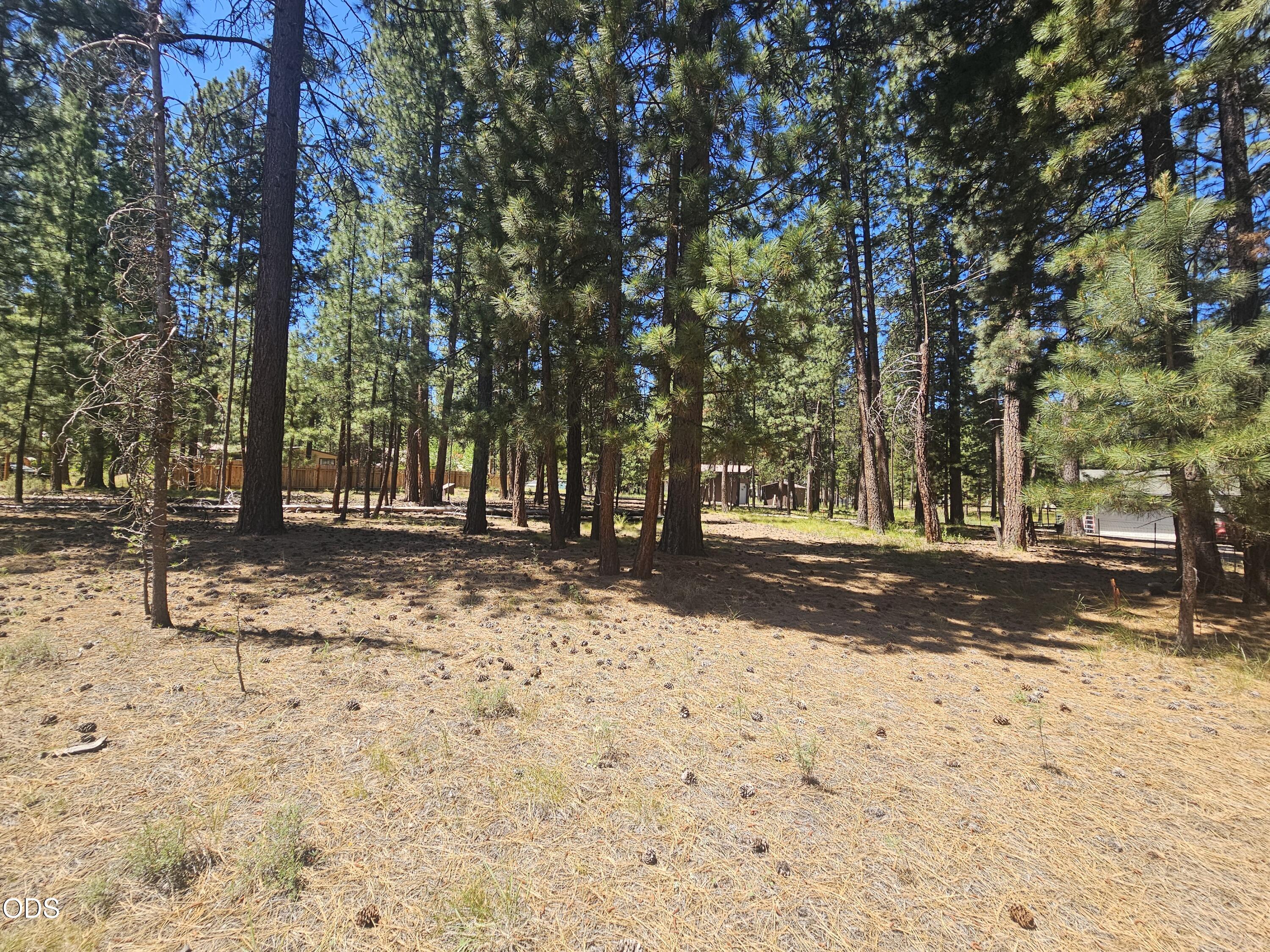 51453 Jory Road La Pine, OR 97739 - Photo 5 of 10