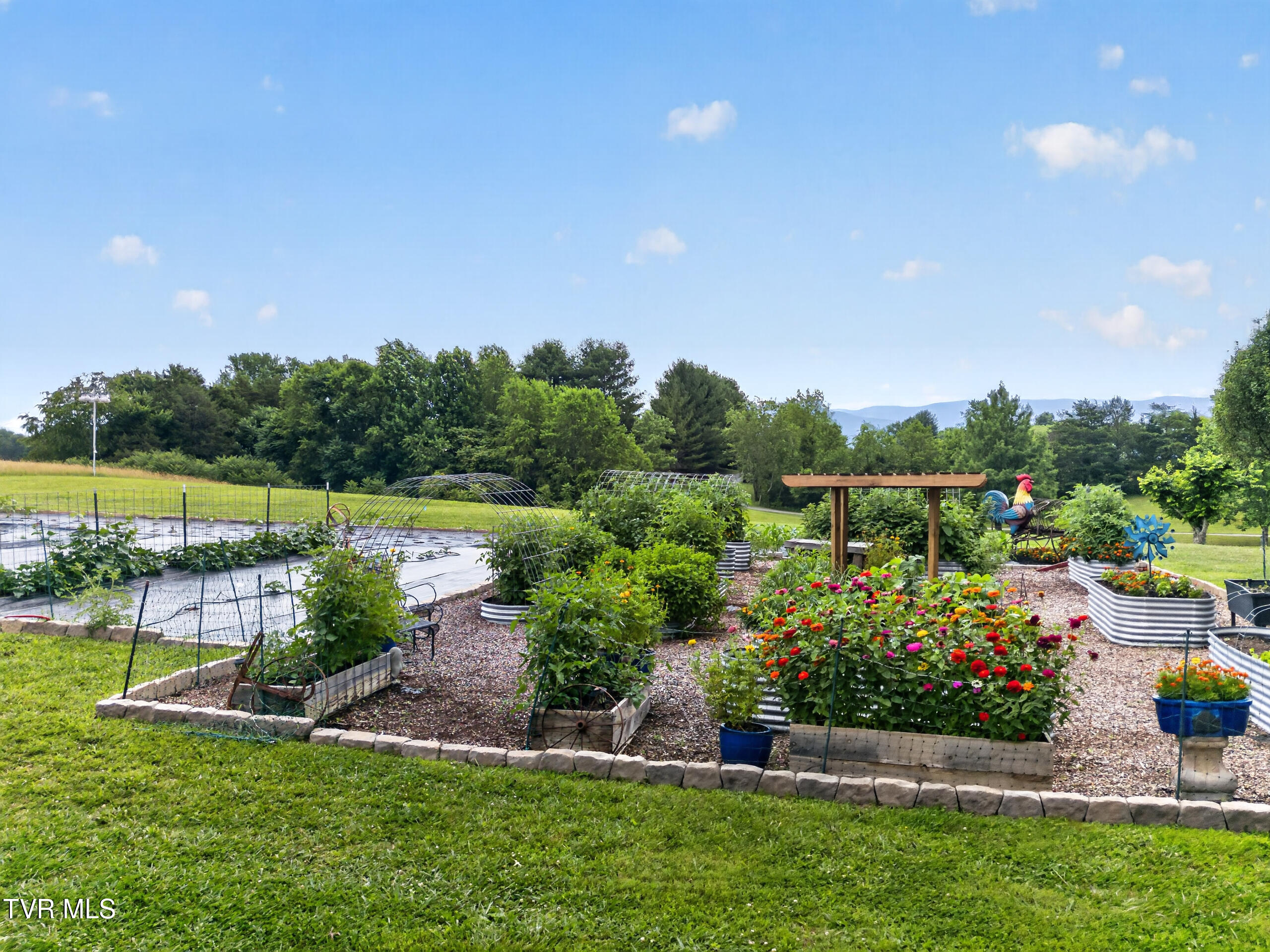 835 John Bird Road Afton, TN 37616 - Photo 18 of 158 DJI_0146