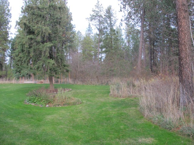 716 East Kilgore Road Colbert, WA 99005 - Photo 19 of 20