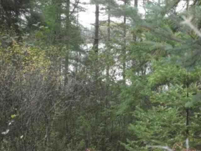 Lot 27 Weber Lake Road Manitowish Waters, WI 54545 - Photo 18 of 18 Gallery Image 18