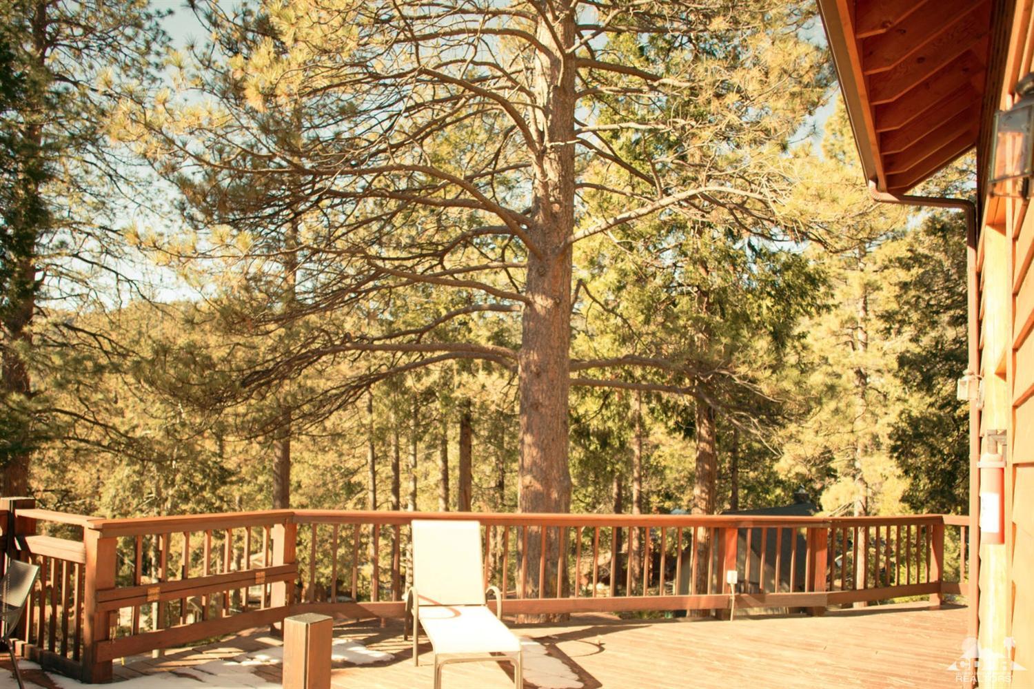 25037 Cougar Road Idyllwild, CA 92549 - Photo 40 of 73 Additional Photo