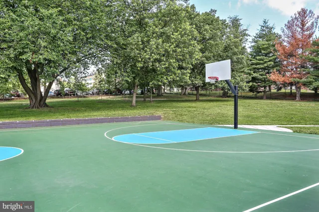a view of outdoor space with garden