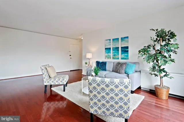 a living room with furniture and a potted plant