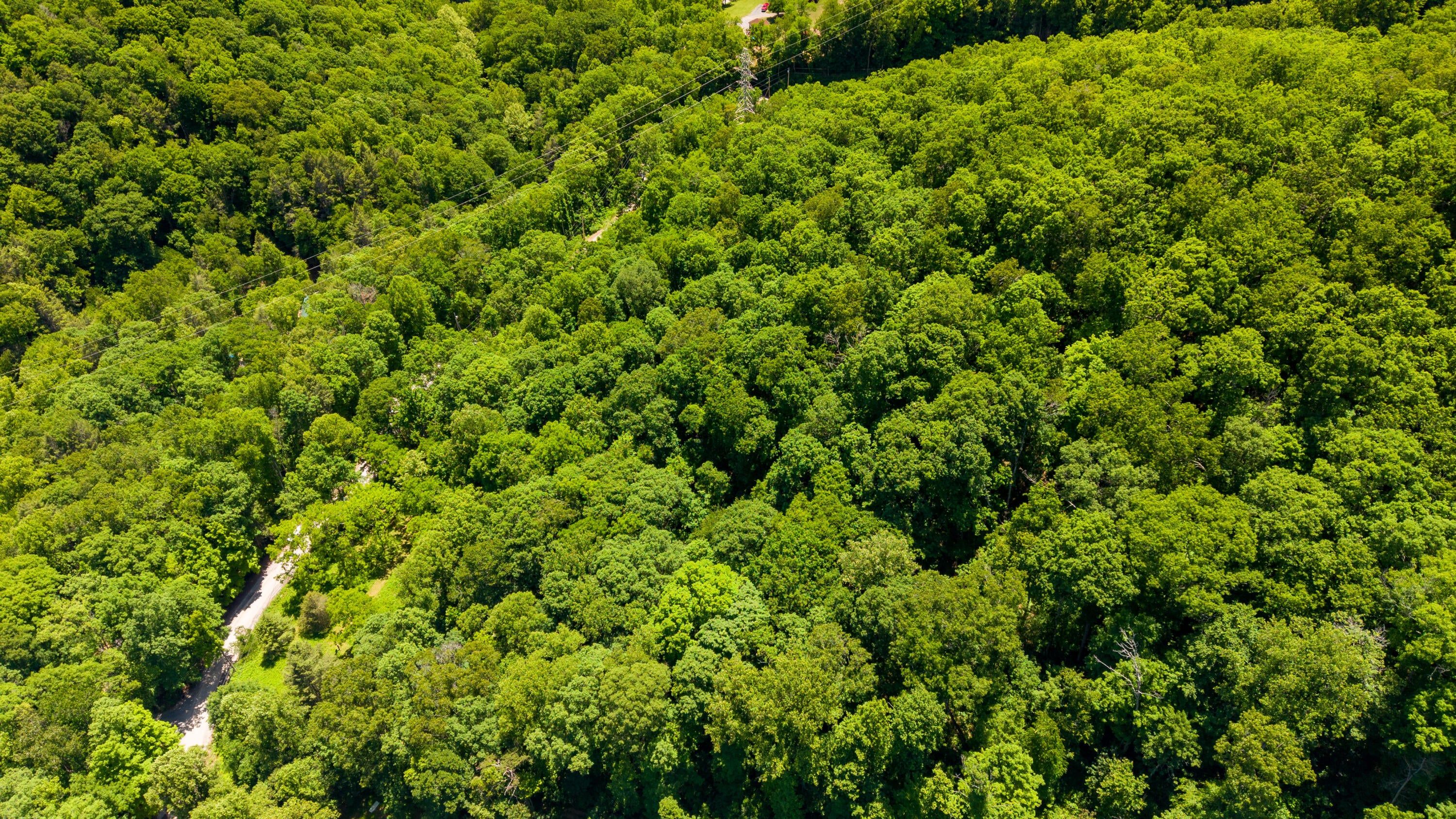 Big Creek Road Hinton, WV 25951 - Photo 6 of 18 Gallery Image 6