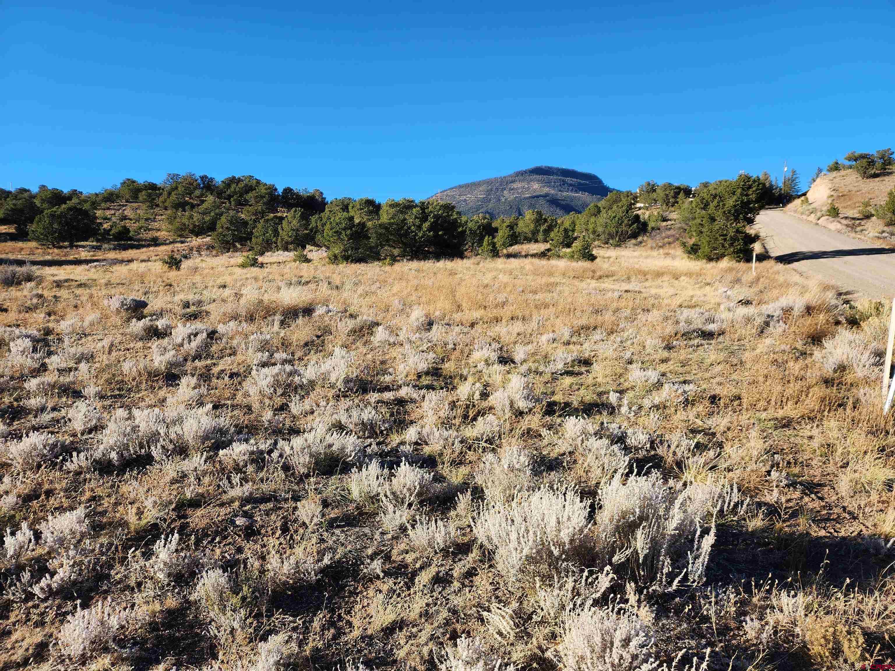 265 Kit Carson Road South Fork, CO 81154 - Photo 3 of 8 Gallery Image 3